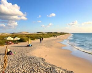 Wann reist man ideal an die Nordseeküste?