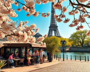 Was macht Paris besonders im Frühjahr reizvoll?